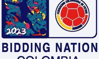 2019女足世界杯名额 2019女足世界杯名额